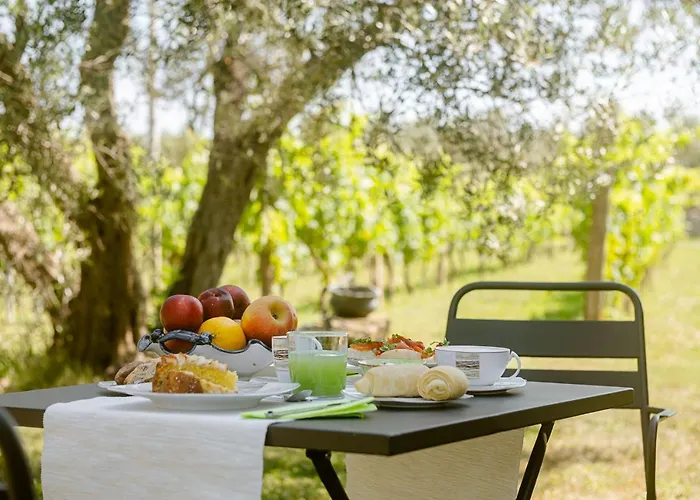 B&B Vallecupa